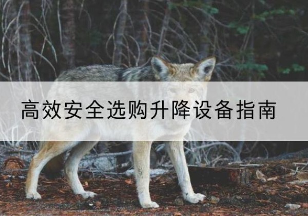 天祝升降货梯厂家推荐-*安全选购升降设备指南