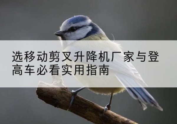 天祝电动升降机厂家-选移动剪叉升降机厂家与登高车必看实用指南