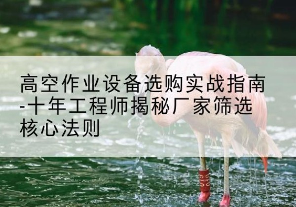 天祝剪叉式升降机厂家-高空作业设备选购实战指南-十年工程师揭秘厂家筛选核心法则